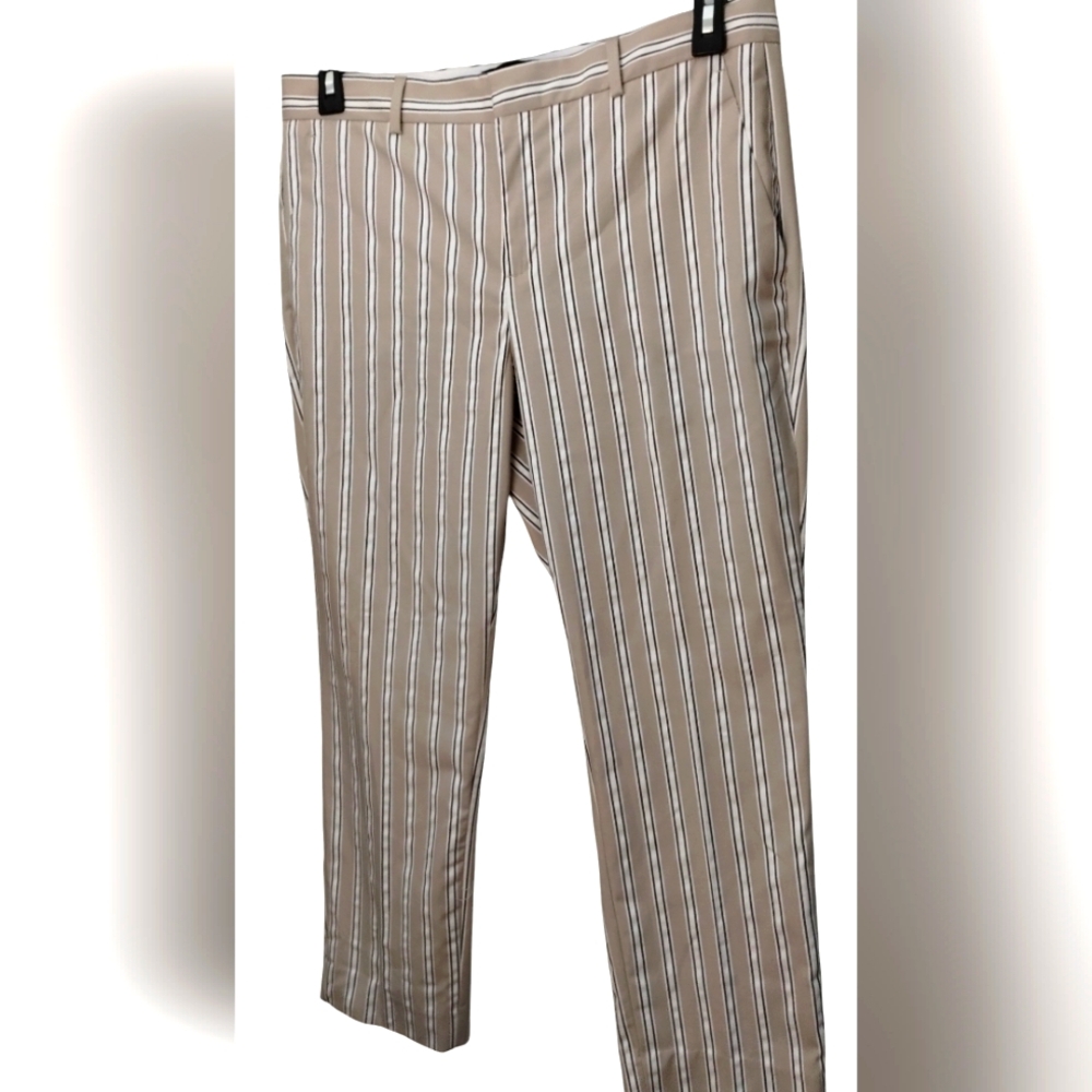 Banana Republic Beige Striped Ankle Pants